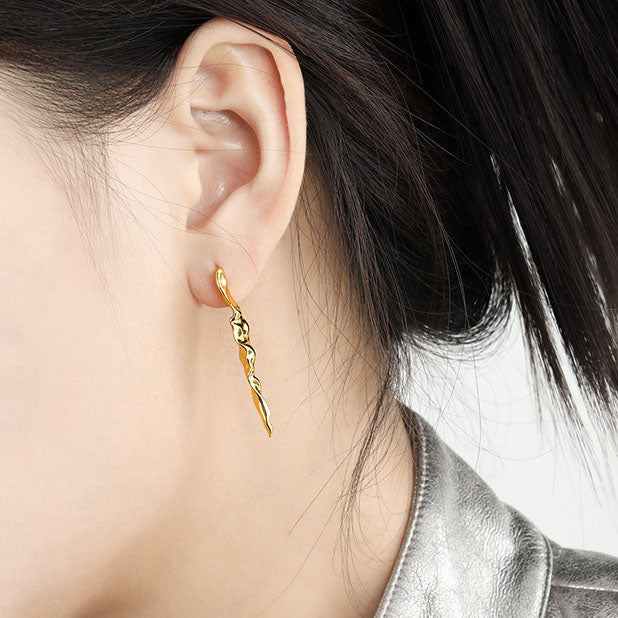 Modern  Earrings